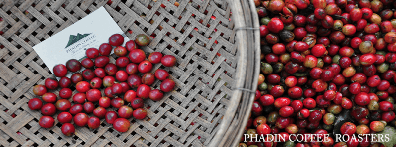 Lý do khiến Phadin Coffee trở thành địa chỉ cung cấp máy pha cà phê chuyên nghiệp?