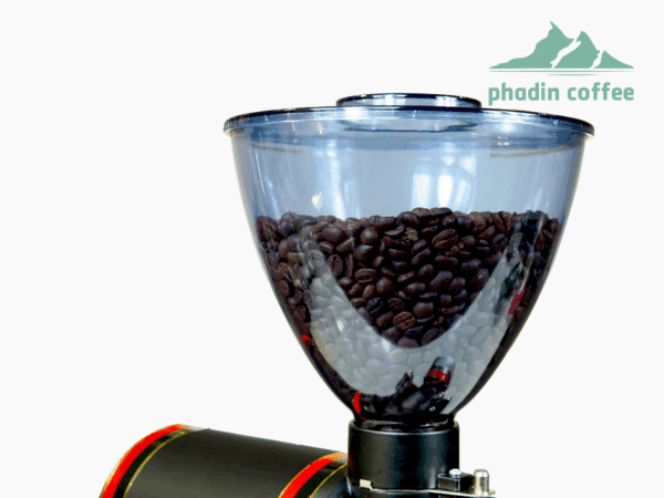 Máy xay cà phê, trà Foresto | MX700 - ảnh chi tiết 2 tại Phadin