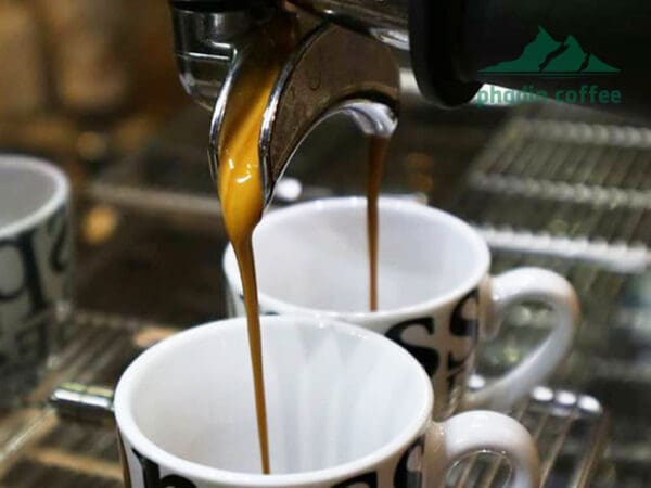 Máy pha cà phê Wega IO |  2 Groups