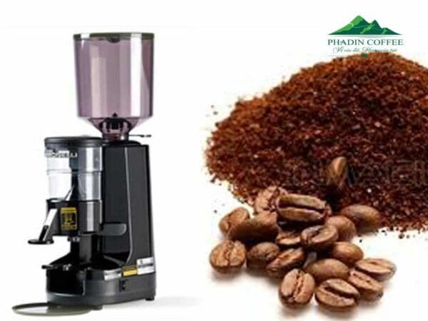 Máy xay cà phê Nuova Simonelli MDX - ảnh chi tiết 2 tại Phadin