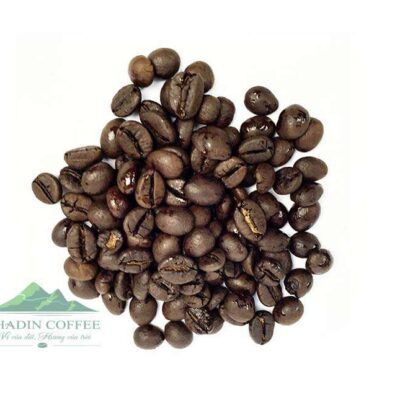 ROBUSTA ORIGINAL (R)
