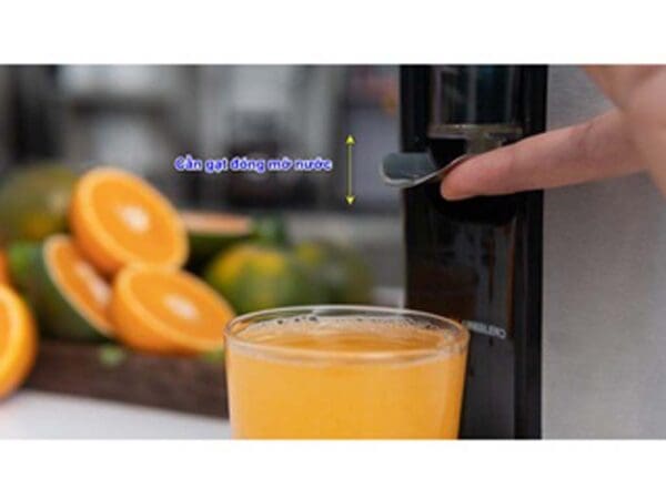 Máy ép cam chuyên dụng Uniblend UB-160