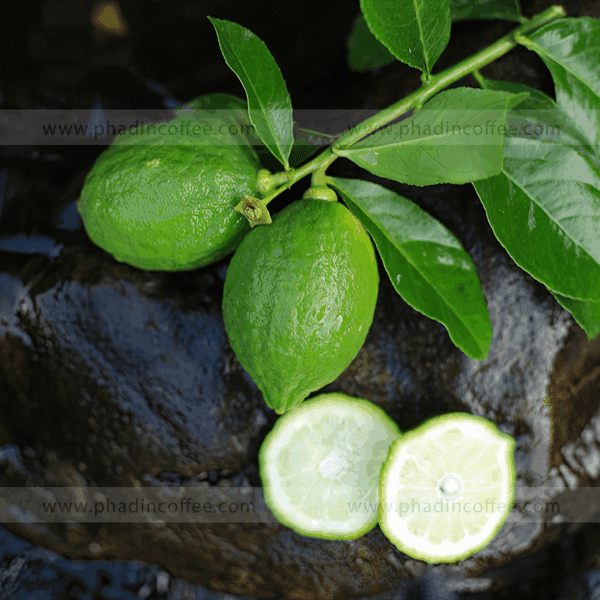 Chanh nước hoa Quảng Đông