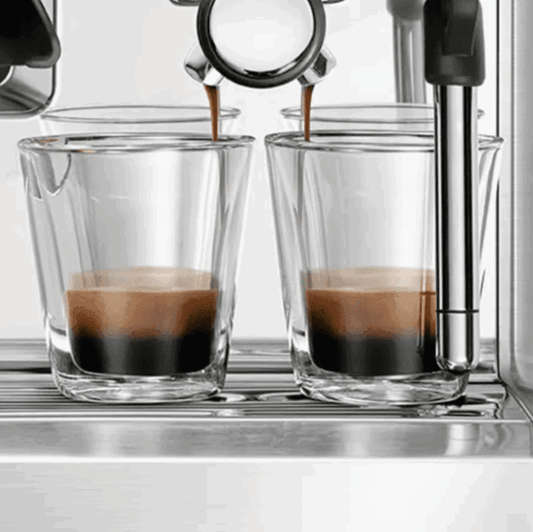 Máy pha cà phê Breville 880