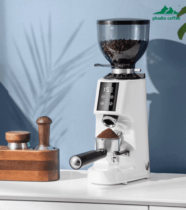 Máy xay cà phê Foresto G301 - ảnh chi tiết 2 tại Phadin