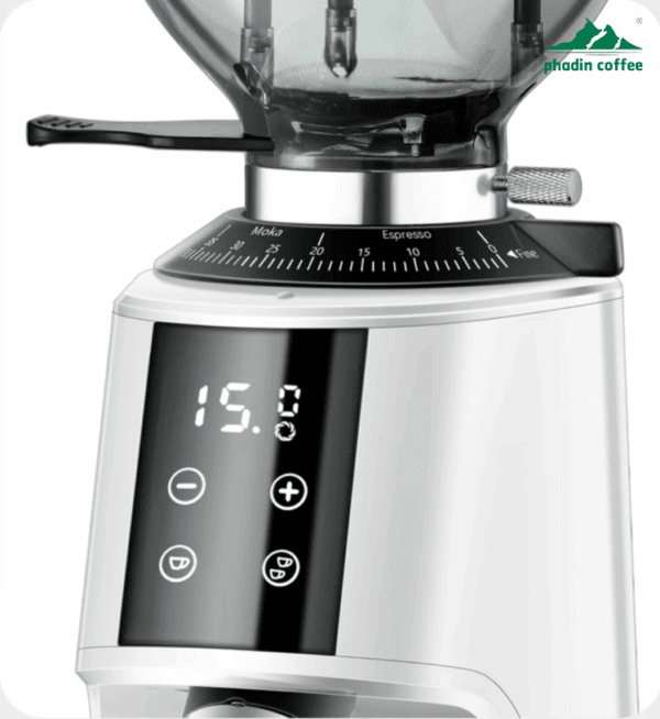 Máy xay cà phê Foresto G301 - ảnh chi tiết 11 tại Phadin