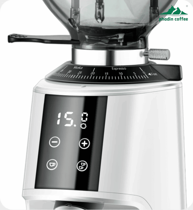 Máy xay cà phê Foresto G301 - ảnh chi tiết 11 tại Phadin