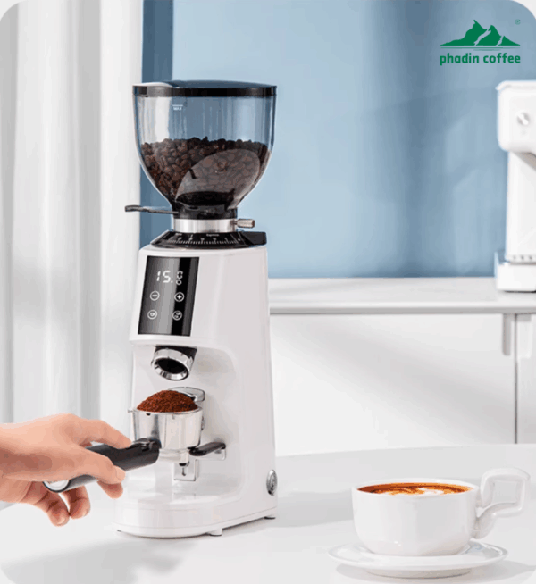 Máy xay cà phê Foresto G301 - ảnh chi tiết 14 tại Phadin