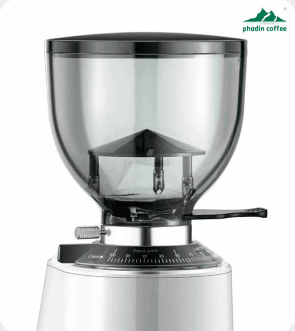 Máy xay cà phê Foresto G301 - ảnh chi tiết 9 tại Phadin