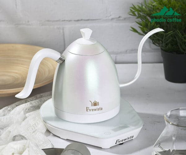 Ấm rót cà phê chính hãng Brewista – điều chỉnh nhiệt độ thông minh, chuyên dụng cho pha cà phê pour-over, thiết kế vòi cổ ngỗng dài bằng thép không gỉ, dung tích 600ml