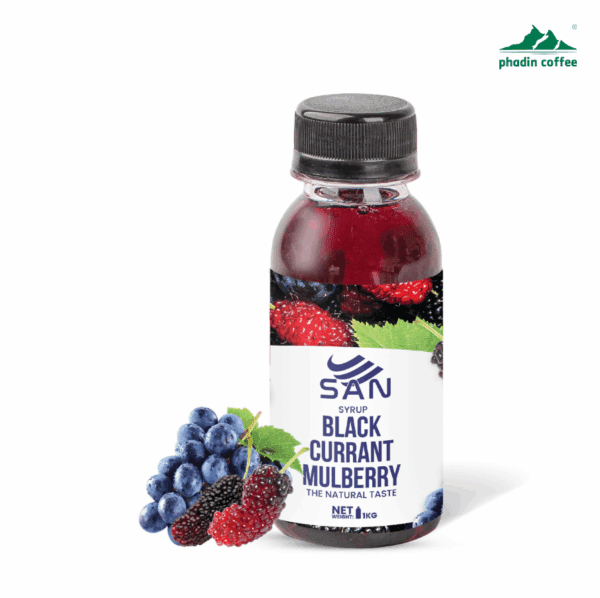 Syrup nho đen dâu tằm - Chai 100ml
