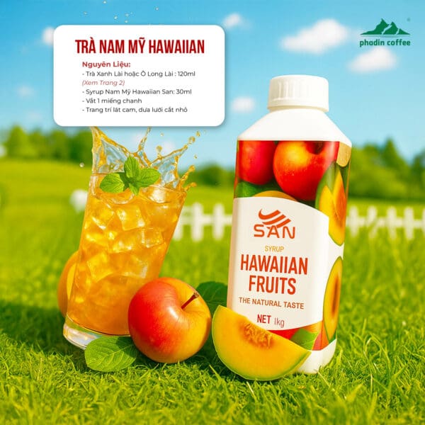 Syrup hoa quả Nam Mỹ - Chai 1kg