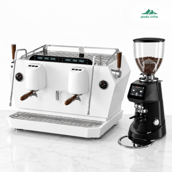 Combo máy pha cà phê Hambach DR7208 Multi Boiler 2 Group + máy xay Fiorenzato F64E
