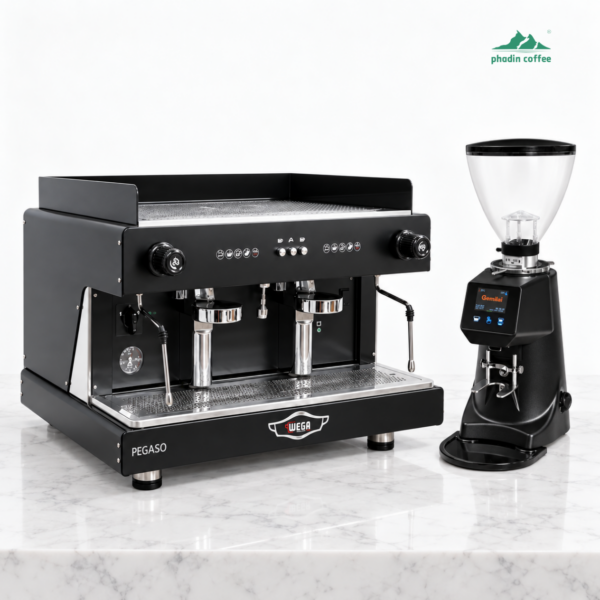 Combo máy pha cà phê Wega Pegaso 2 Group + máy xay Gemilai A80 Pro