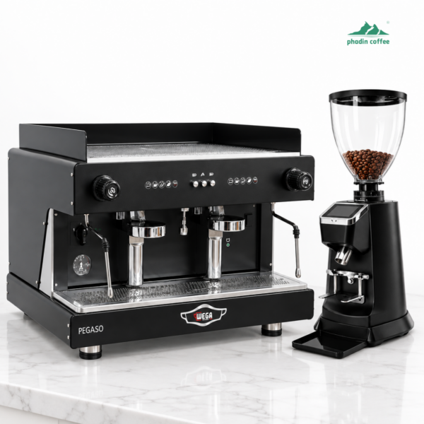 Combo máy pha cà phê Wega Pegaso 2 Group + máy xay KF64P