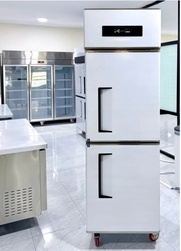 Tủ đông đứng cao cấp LIGHTCOOL LS-500